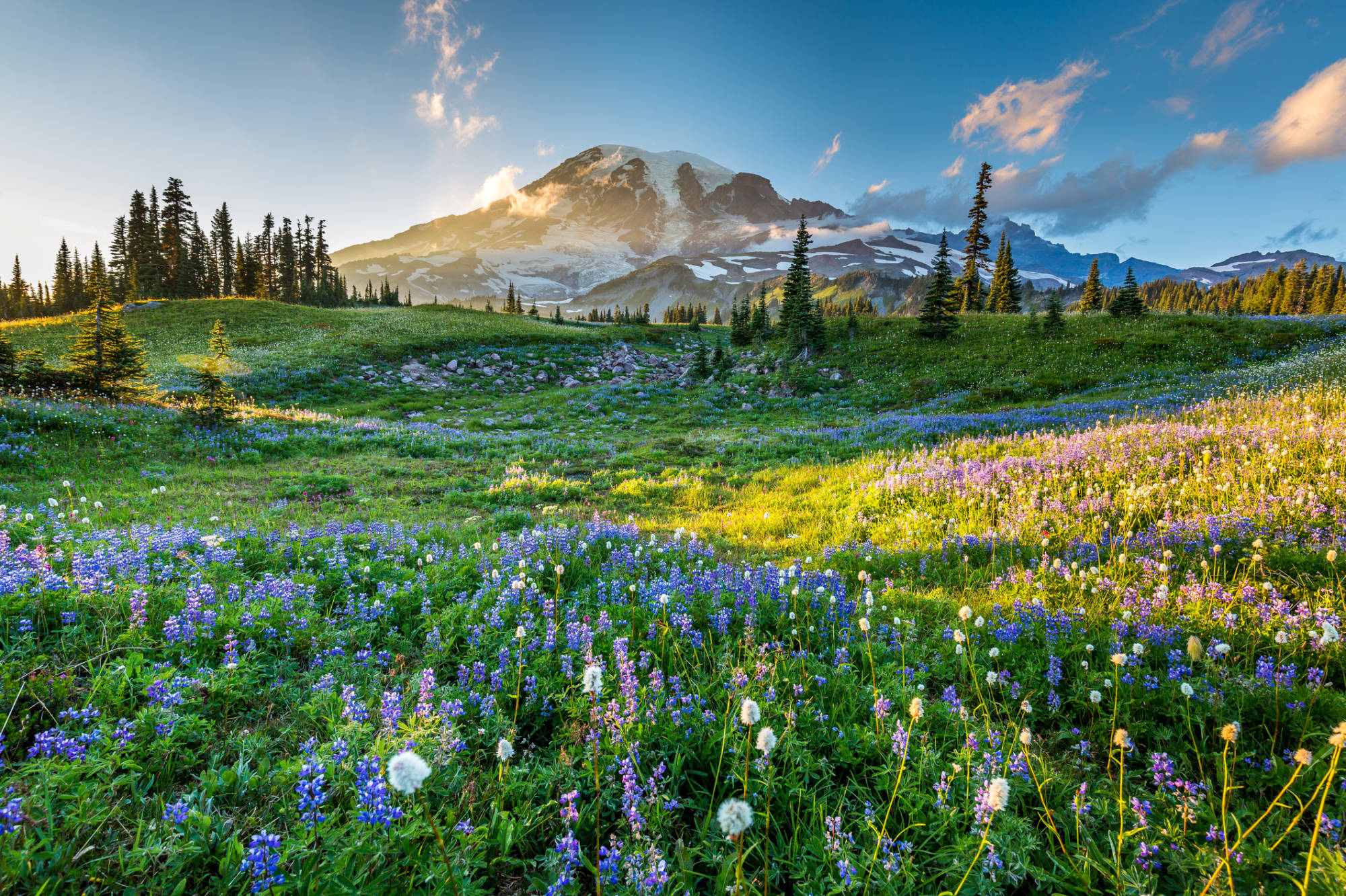 Explore Mount Rainier National Park, a short drive from Kent, Washington