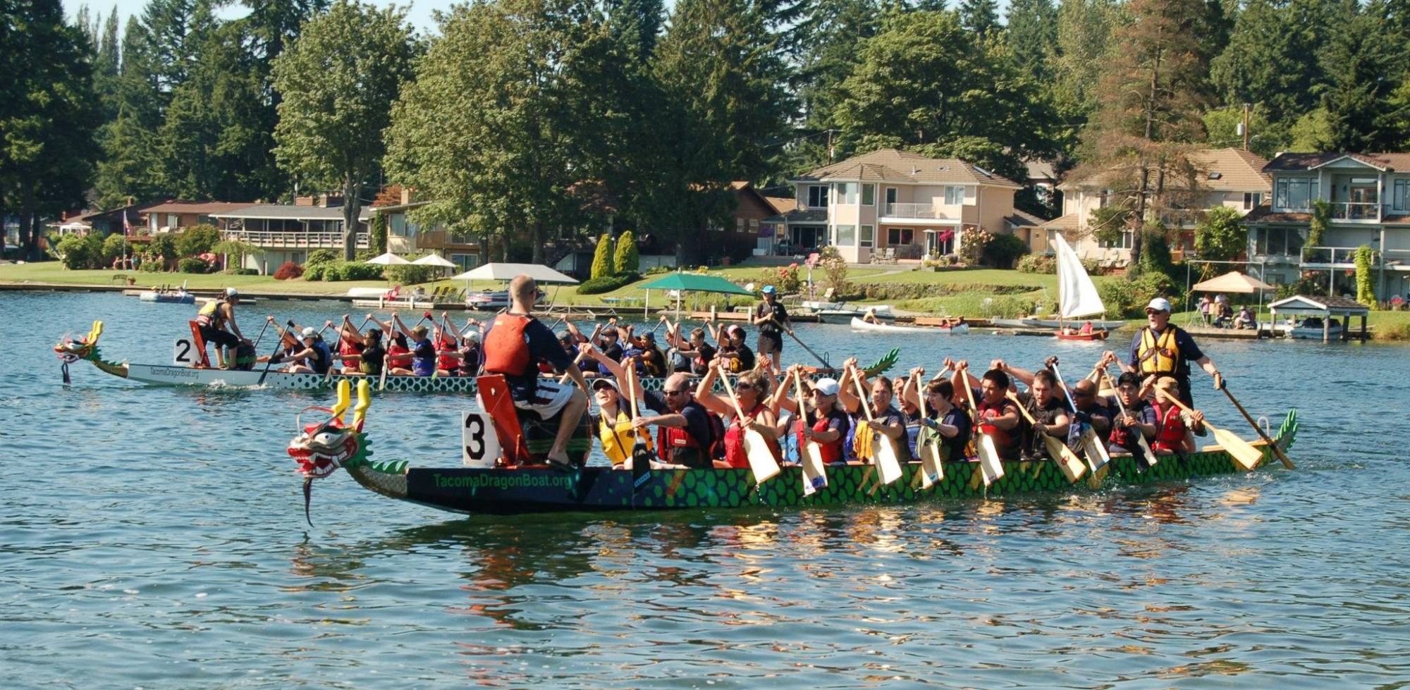 Dragon boat racing at Kent Cornucopia Days summer festival in Kent, Washington