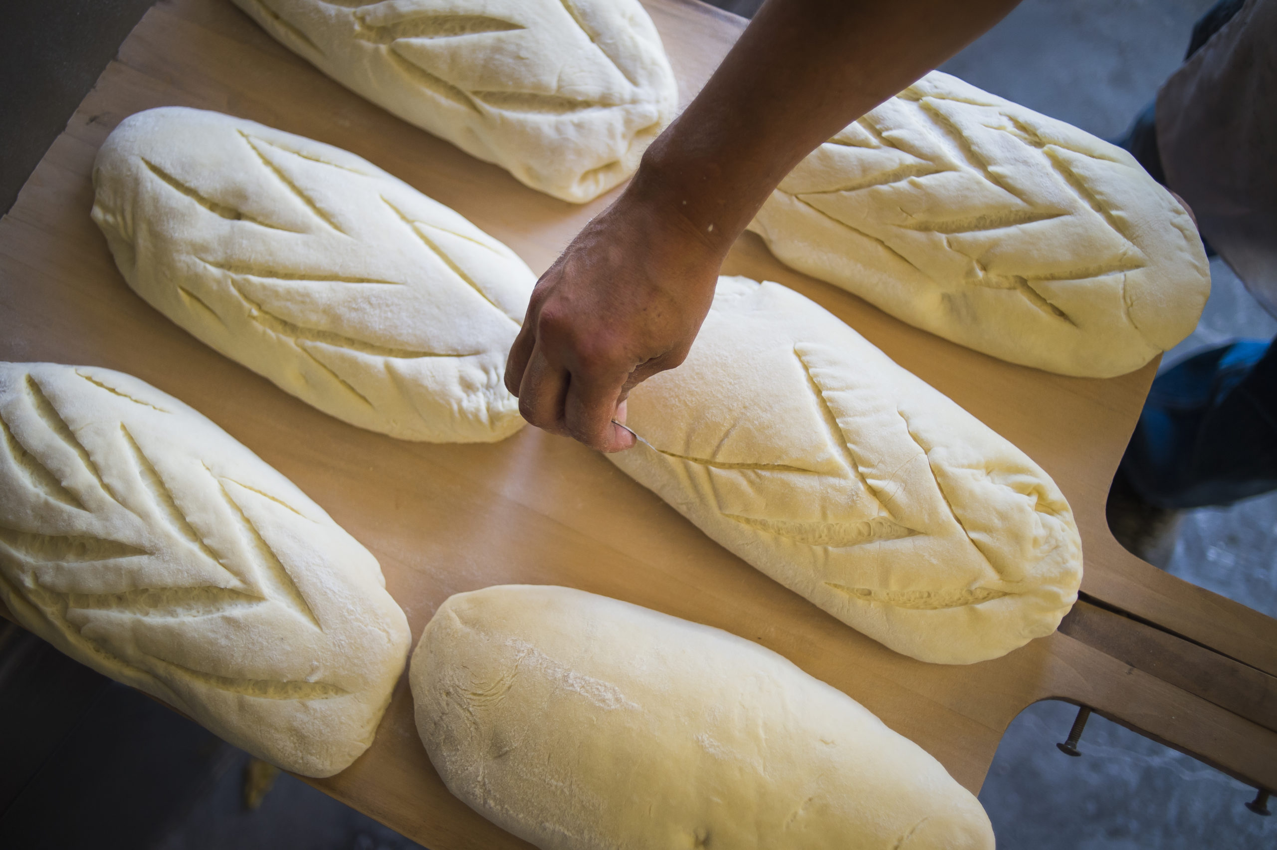 Photo of baker scoring bread before putting it in the oven. Photo taken at Wild Wheat Bakery in Kent, Washington.