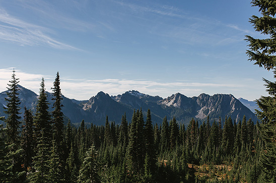 Scenic view of mountains and trees