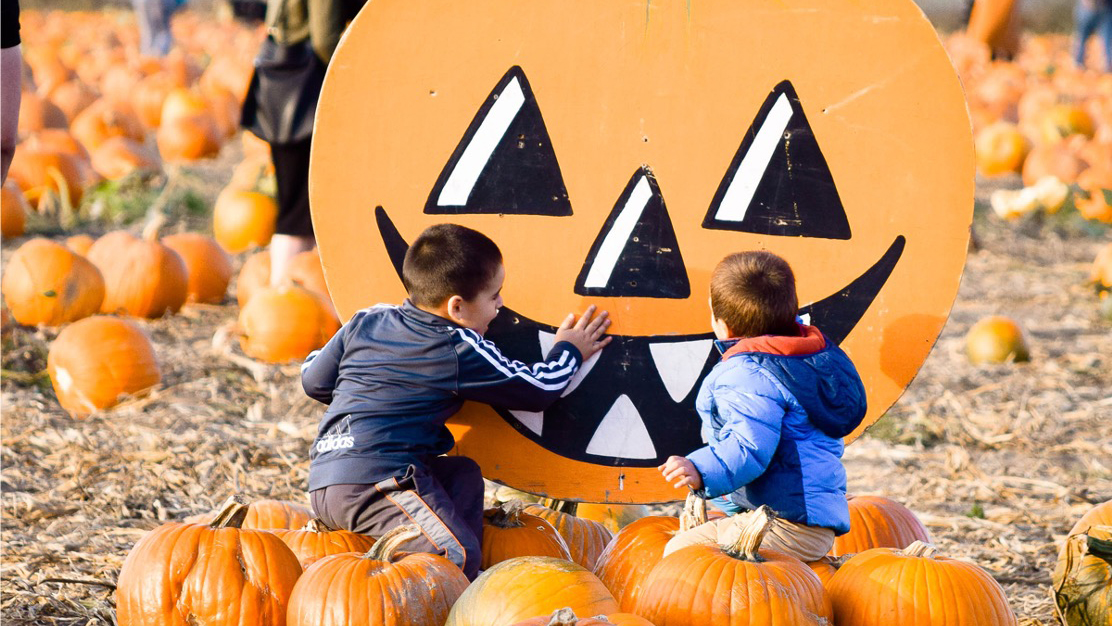 Two children in the pumpkin patch at Carpinito Brothers Farm