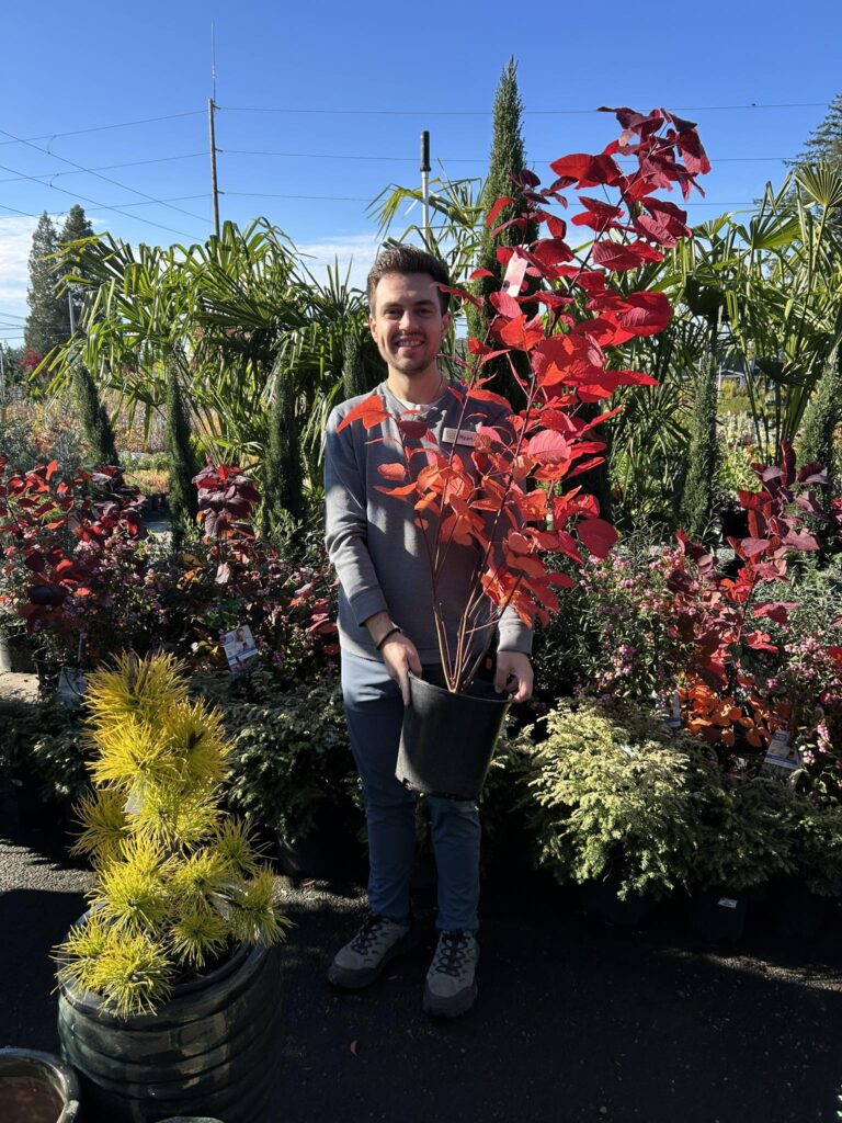 Photo of Ryan Malmassari, nursery co-manager of Kent East Hill Nursery, holding a red tree plant while surrounded by other plants at the nursery.