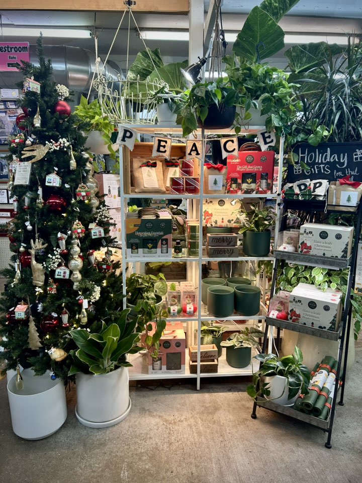 Photo of Kent East Hill Nursery Holiday Display with gifts, plants, and plant related items -Escape to Kent East Hill Nursery for Greens, Gifts, Good Vibes